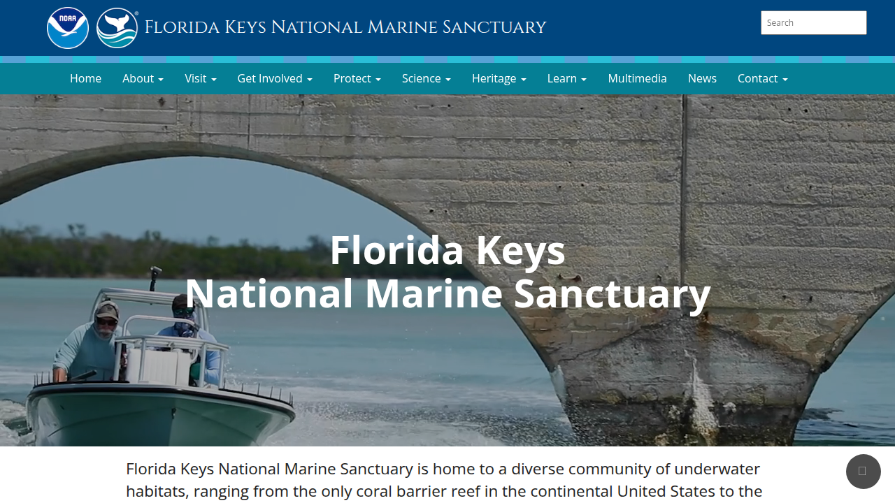 Screenshot of the Florida Keys National Marine Sanctuary official homepage, providing regulations and information for protecting the region's unique marine ecosystem.